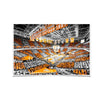 Tennessee Volunteers - Checkerboard Thompson-Boling DuoTone - College Wall Art #Poster