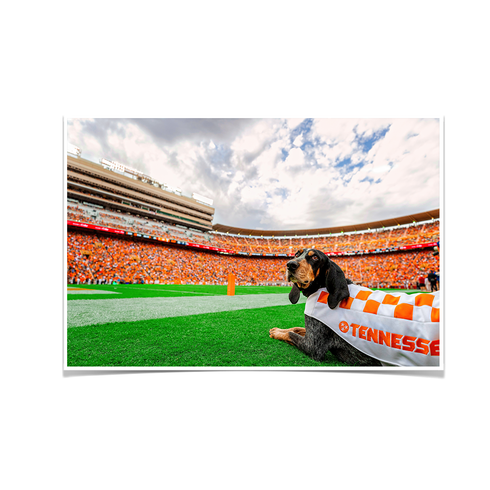 Tennessee Volunteers - Smokey's Tennessee - College Wall Art #Canvas