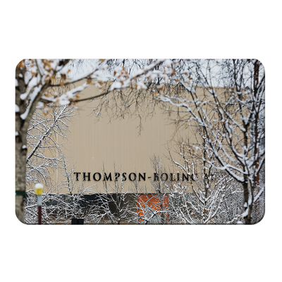 Tennessee Volunteers - Snowy Thompson-Boling - College Wall Art #PVC