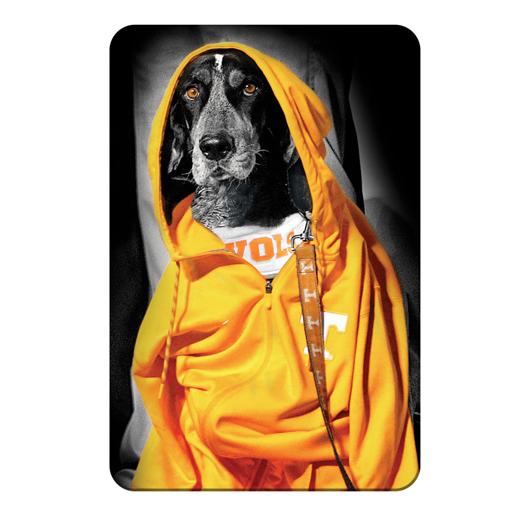 Tennessee Volunteers - Smokey Hood - College Wall Art #Canvas