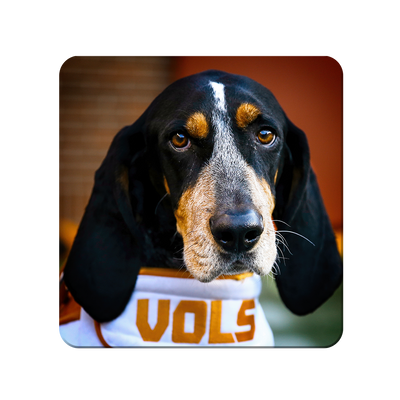 Tennessee Volunteers - TN Smokey Vols - College Wall Art #PVC