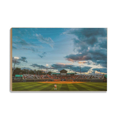 Tennessee Volunteers - Tennessee Softball - College Wall Art #Wood