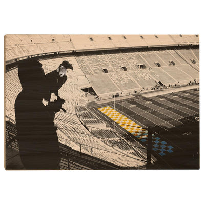 Tennessee Volunteers - Eagles Eye Over Neyland - College Wall Art #Wood