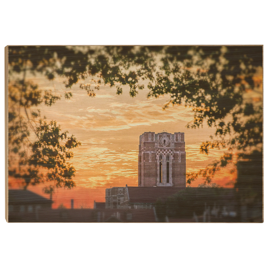 Tennessee Volunteers - Ayres Blaze - College Wall Art #Canvas