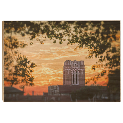 Tennessee Volunteers - Ayres Blaze - College Wall Art #Wood