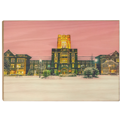 Tennessee Volunteers - Snowy Ayres - College Wall Art #Wood