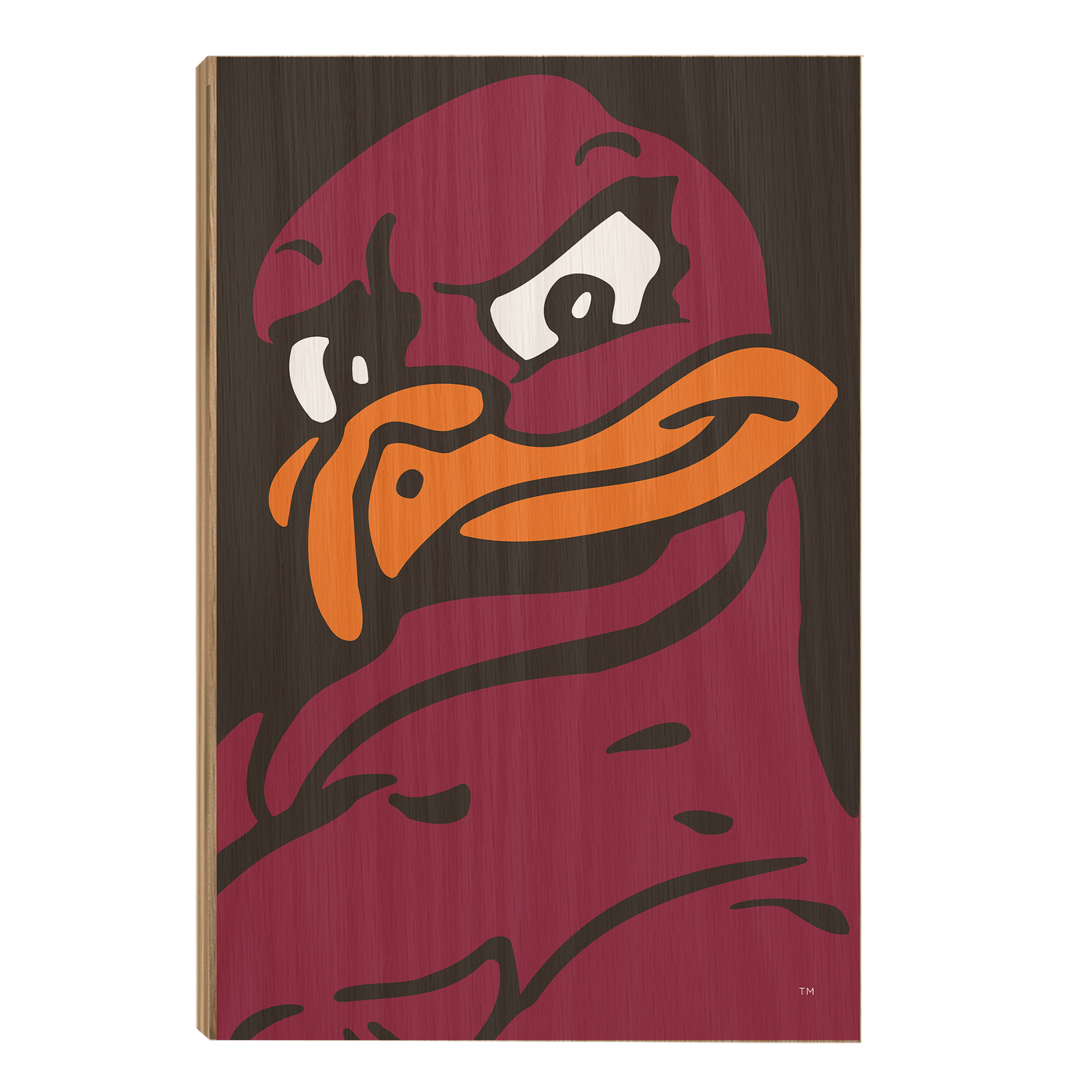 Virginia Tech Hokies - Hokie Bird - College Wall Art #Canvas