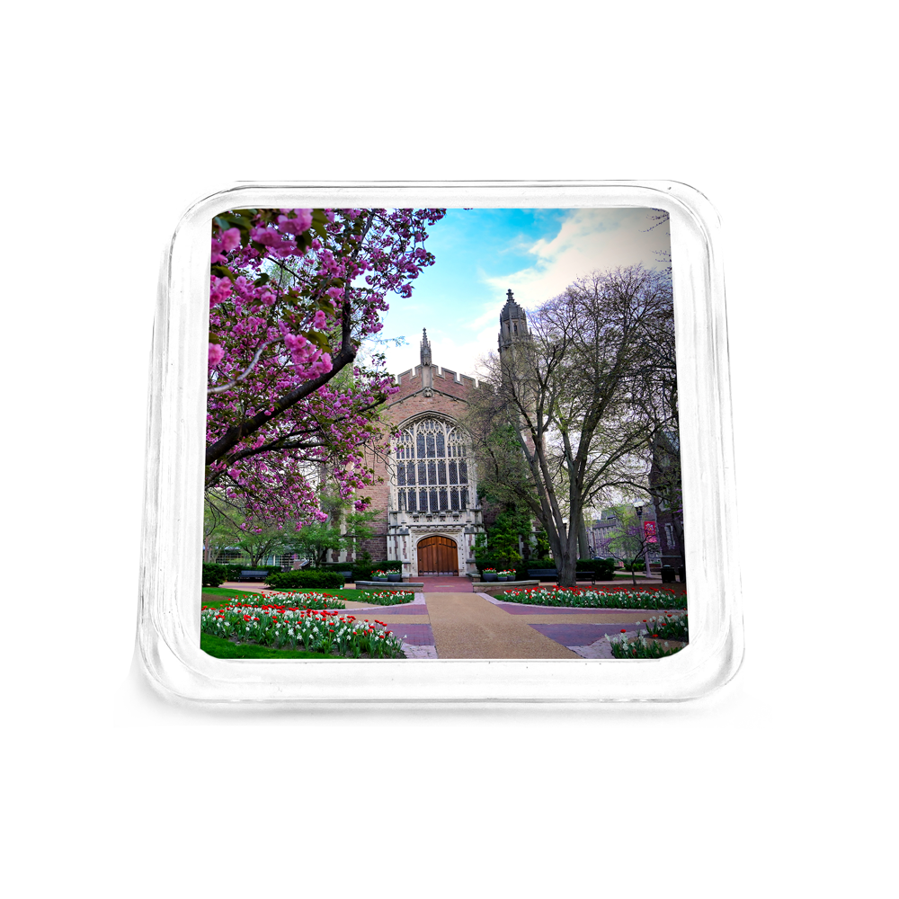 WashU - Cherry Blossoms Drink Coaster
