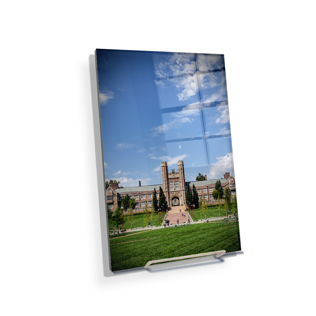 Washington Bears - ALDV - College Wall Art #Canvas