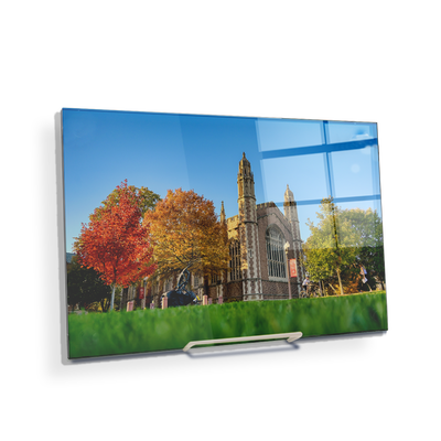 Washington University Bears - Autumn - College Wall Art #Acrylic Mini