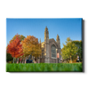 Washington University Bears - Autumn - College Wall Art #Canvas