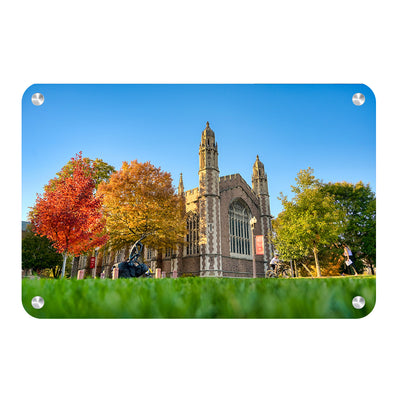 Washington University Bears - Autumn - College Wall Art #Metal