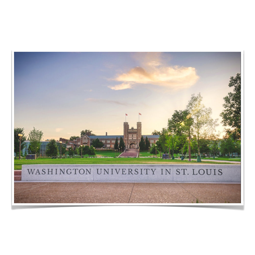 Washington University Bears - Washington University in St. Louis - College Wall Art #Canvas