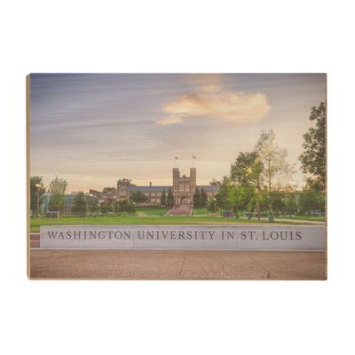 Washington University Bears - Washington University in St. Louis - College Wall Art #Wood