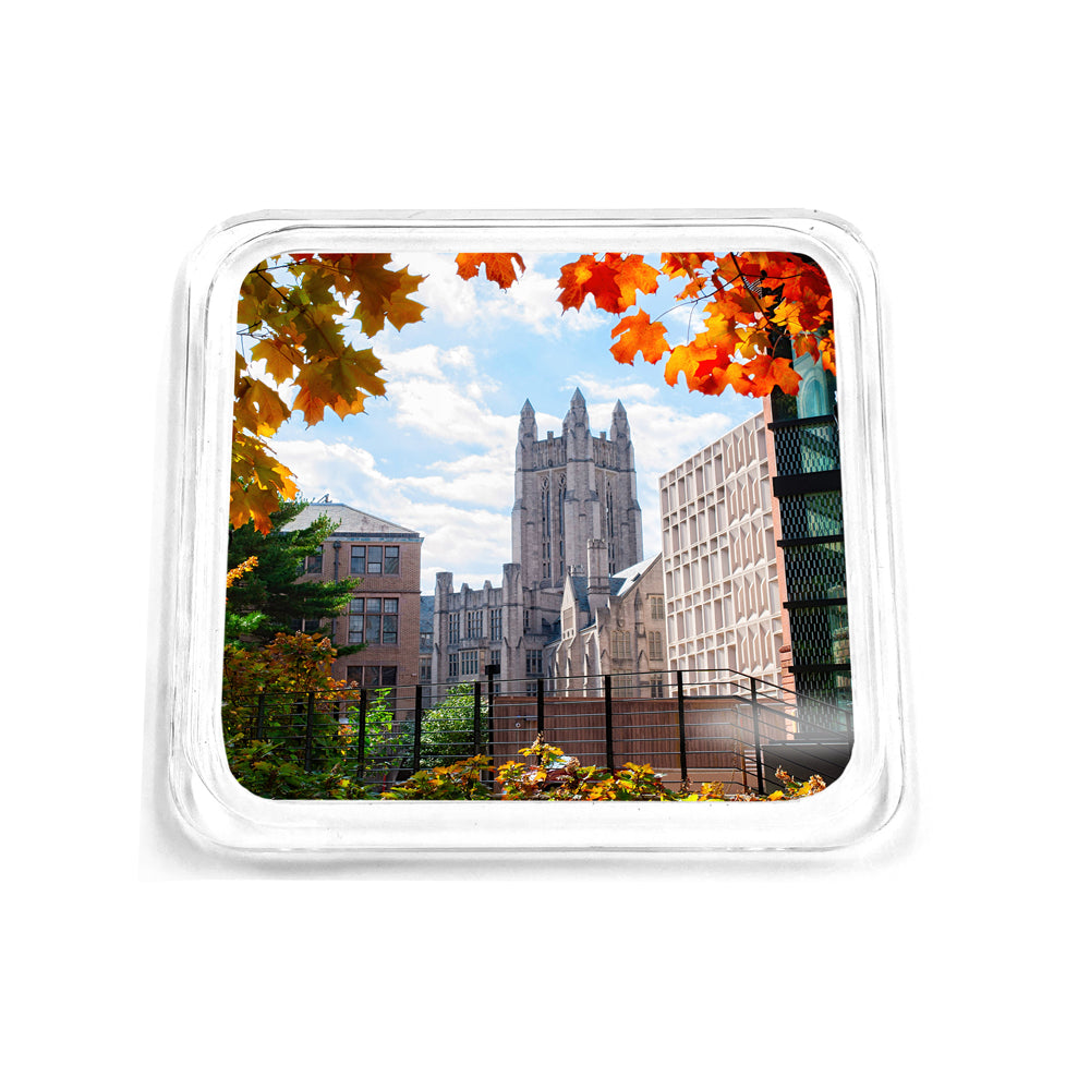 Yale Bulldogs - Sheffield-Sterling-Strathcona Hall Fall Drink Coaster