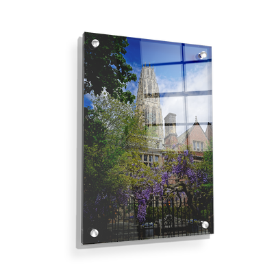 Yale Bulldogs - Springtime Harkness Tower - College Wall Art #Acrylic
