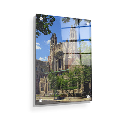 Yale Bulldogs - Law School - College Wall Art #Acrylic