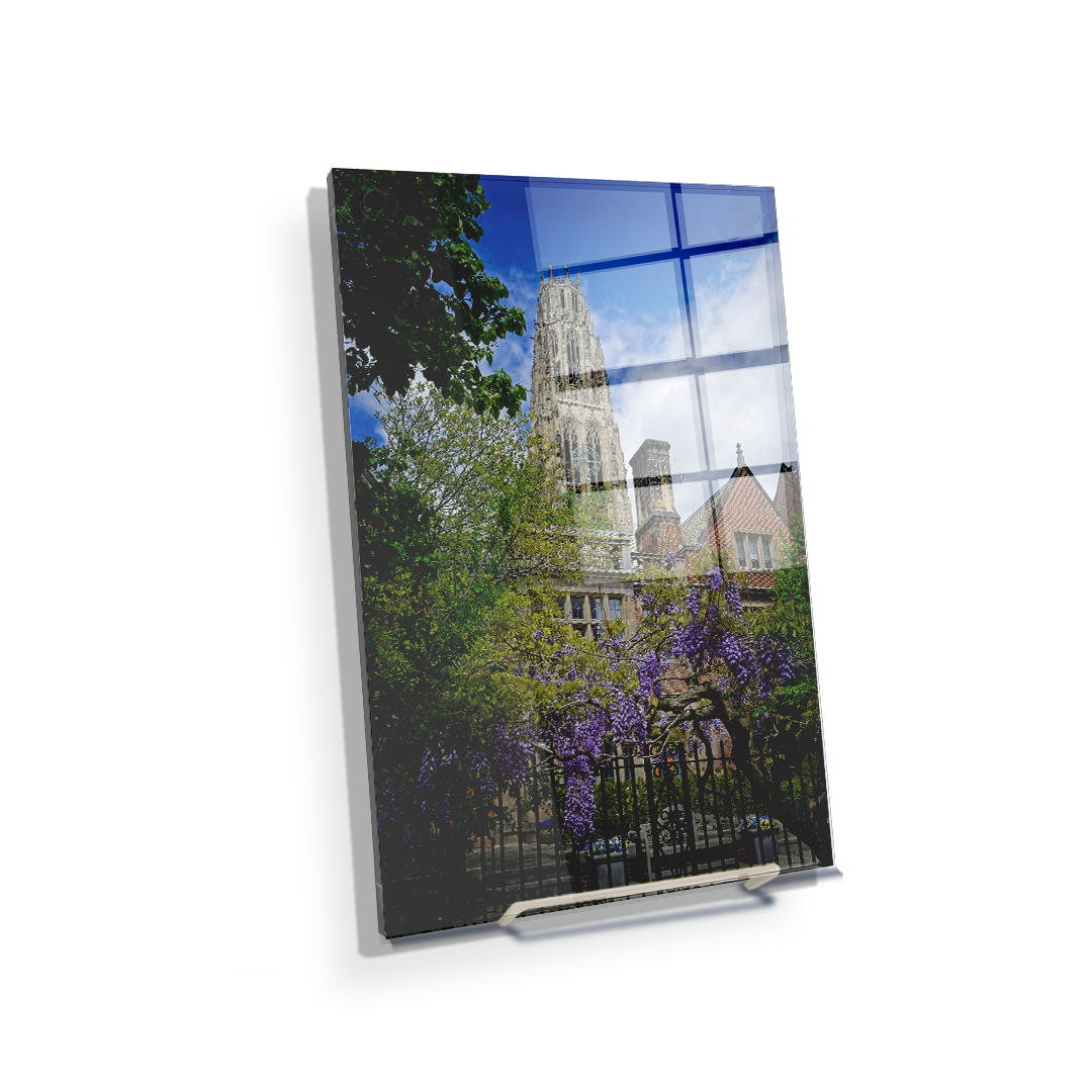 Yale Bulldogs - Springtime Harkness Tower - College Wall Art #Canvas