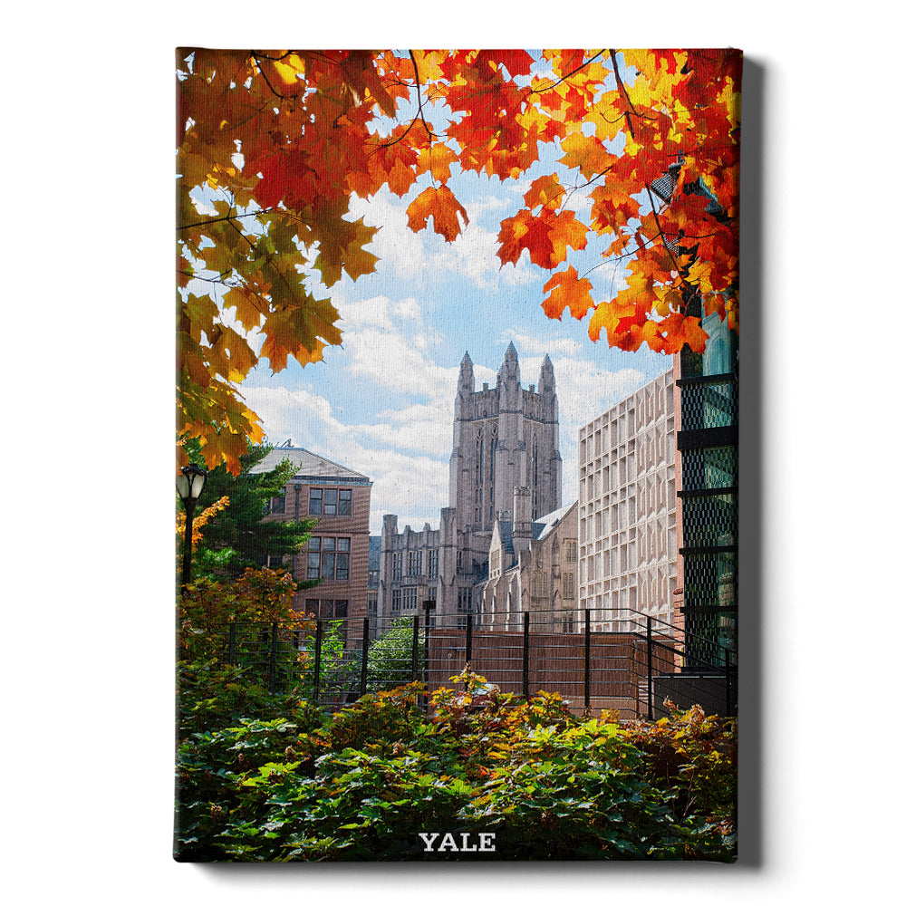 Yale Bulldogs - Sheffield-Sterling-Strathcona Hall Fall #Canvas