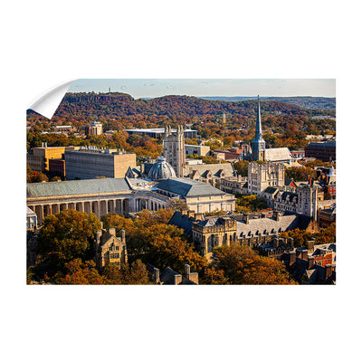 Yale Bulldogs - Yale Autumn Aerial #Wall Decal