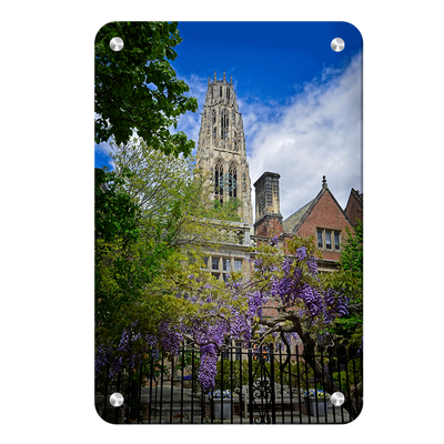 Yale Bulldogs - Springtime Harkness Tower - College Wall Art #Metal