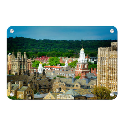 Yale Bulldogs - Yale Campus -College Wall Art #Metal