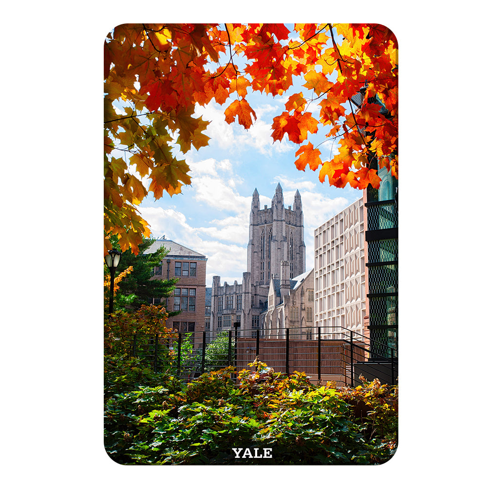 Yale Bulldogs - Sheffield-Sterling-Strathcona Hall Fall #Canvas