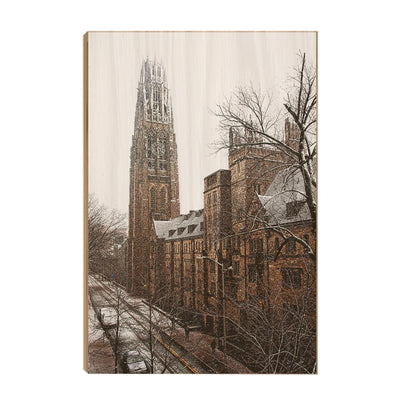 Yale Bulldogs - Harkness Winter -College Wall Art #Wood