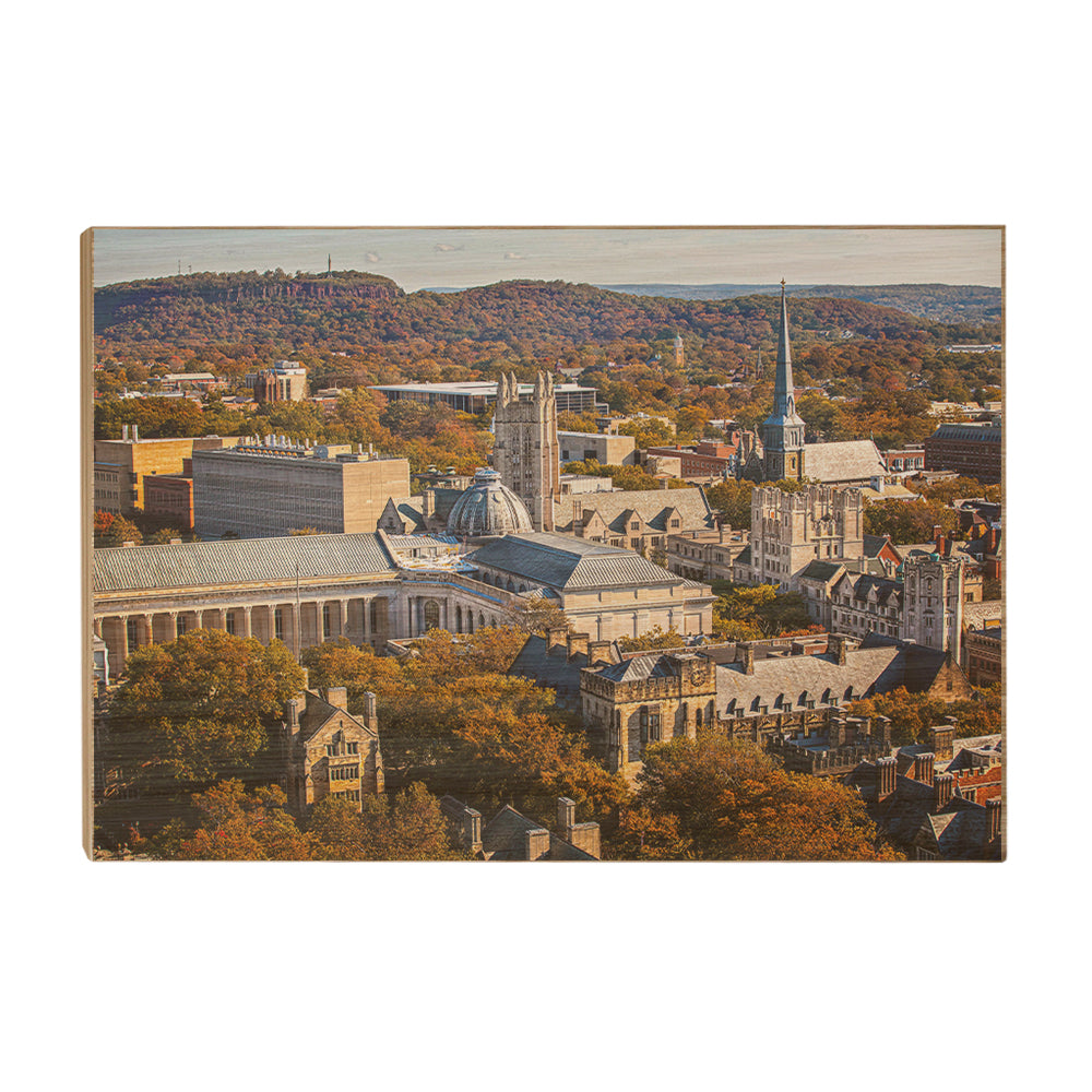 Yale Bulldogs - Yale Autumn Aerial #Canvas